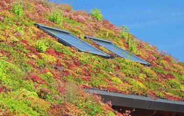 Dunnockshaw living roof systems
