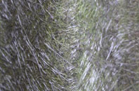 Dunnockshaw fibreglass roof work